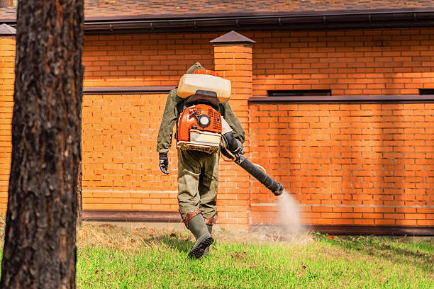 Bed Bug Clearance Verification and Documentation in New Plymouth
